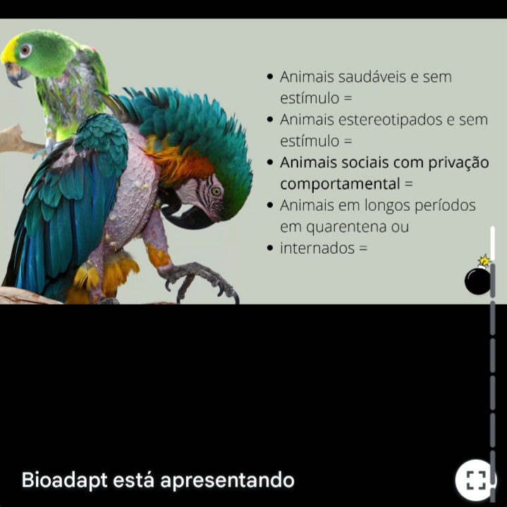 Screenshot_20250514_194958_Gmail 🐾 Palestra sobre Bem-estar de Animais Silvestres 🐾 Palestras