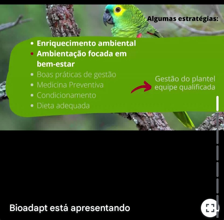 Screenshot_20250514_195156_Gmail 🐾 Palestra sobre Bem-estar de Animais Silvestres 🐾 Palestras
