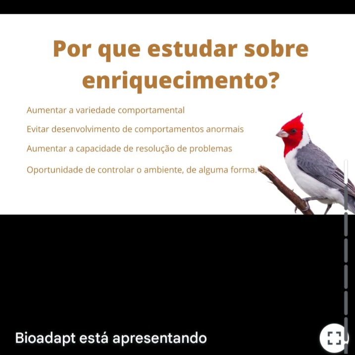 Screenshot_20250514_200600_Gmail 🐾 Palestra sobre Bem-estar de Animais Silvestres 🐾 Palestras