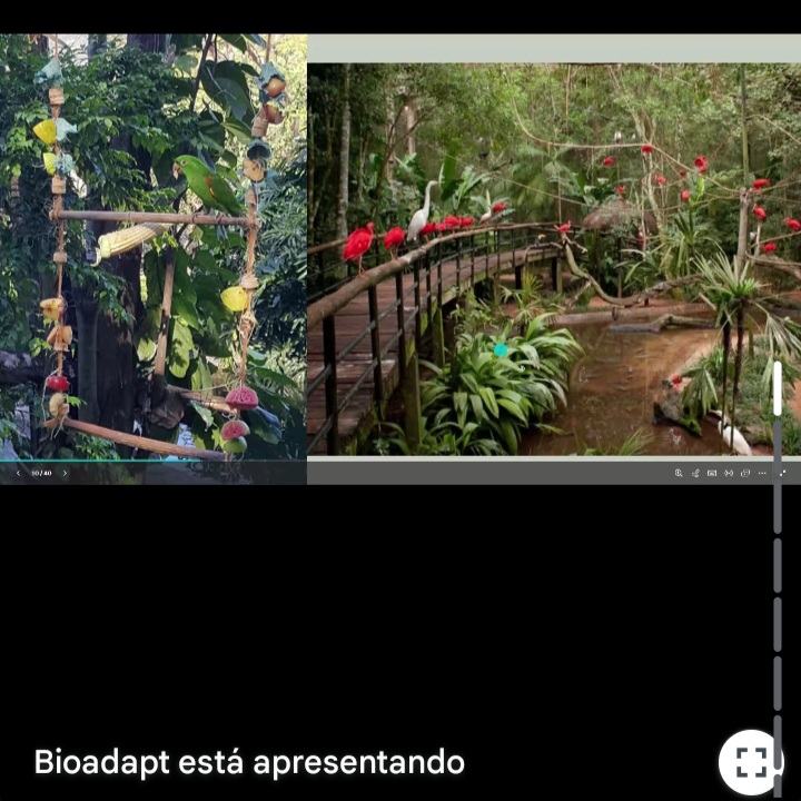 Screenshot_20250514_201112_Gmail 🐾 Palestra sobre Bem-estar de Animais Silvestres 🐾 Palestras