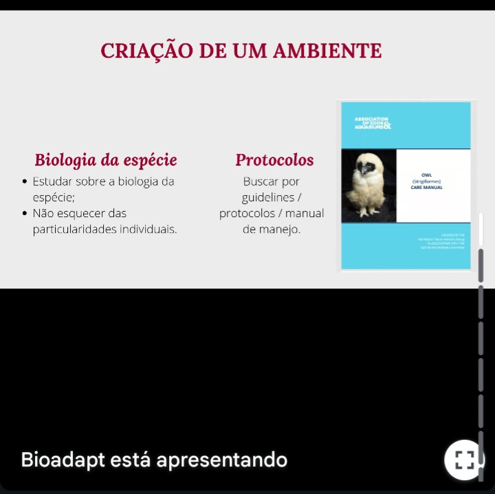 Screenshot_20250514_201449_Gmail 🐾 Palestra sobre Bem-estar de Animais Silvestres 🐾 Palestras