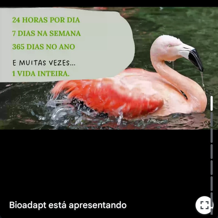 Screenshot_20250514_201815_Gmail 🐾 Palestra sobre Bem-estar de Animais Silvestres 🐾 Palestras