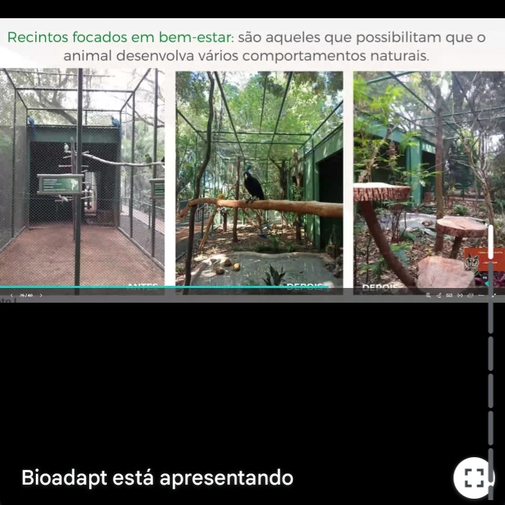 Screenshot_20250514_203651_Gmail 🐾 Palestra sobre Bem-estar de Animais Silvestres 🐾 Palestras