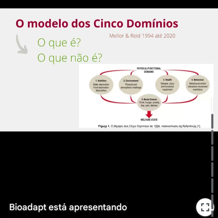 Screenshot_20250514_204859_Gmail 🐾 Palestra sobre Bem-estar de Animais Silvestres 🐾 Palestras