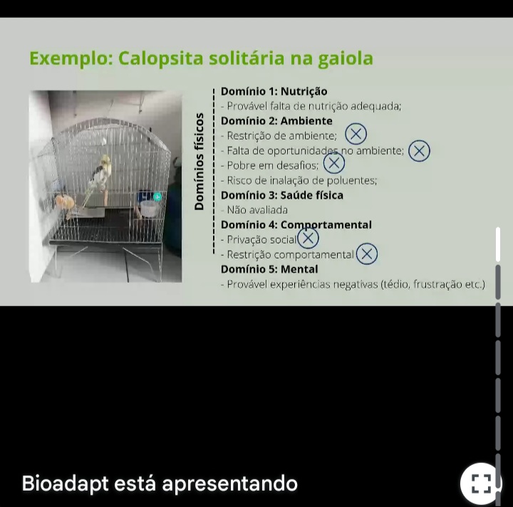 Screenshot_20250514_205354_Gmail 🐾 Palestra sobre Bem-estar de Animais Silvestres 🐾 Palestras